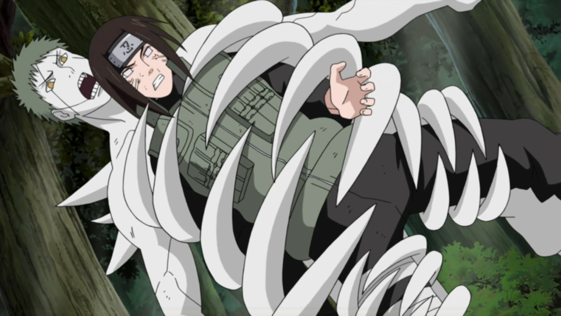 Armée des Zetsu Blanc Naruto Wiki