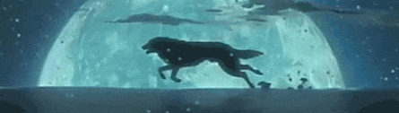 Running-wolf-Wolf-s-Rain-wolves-13476164-445-126_zps7fe94270.gif