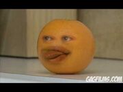 54646