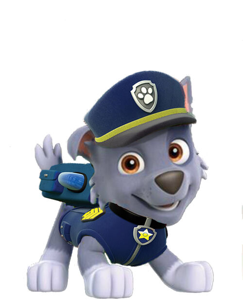 paw patrol rocky basic