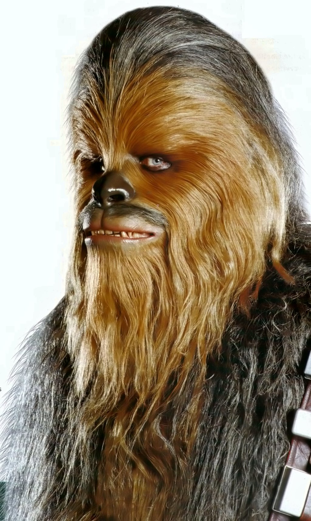 Star Wars Hairy Guy 98