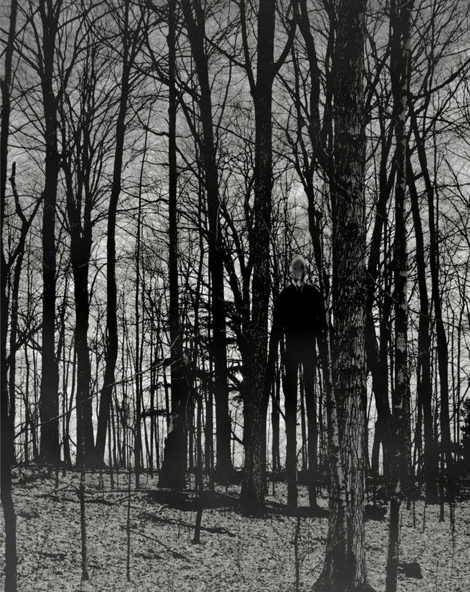 slender in the woods