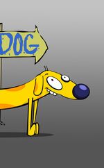Perro