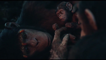 Infant's birth 3