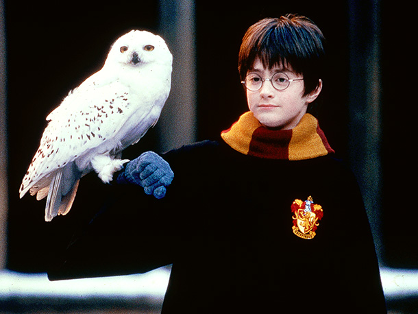 img2.wikia.nocookie.net/__cb20140626035642/harrypotter/images/0/00/Hedwig_610.jpg