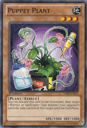 300px-PuppetPlant-YSKR-EN-C-1E.png