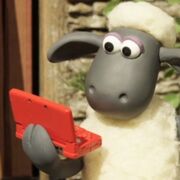 Shaun 2