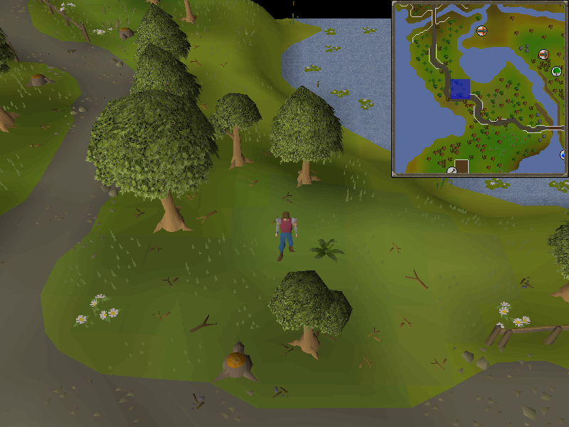 old school runescape map rellekka