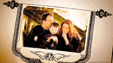 Potter family1