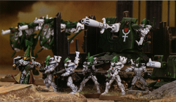 Biel-Tan Warhost
