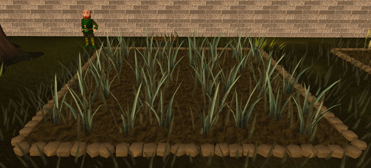 Reed seed The RuneScape Wiki