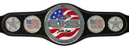John-Cena-Spinner-WWE-U S -Championship-Belt