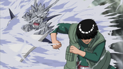 Konoha Kaiganshō