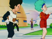 Vegeta segue Bulma