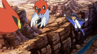 ¿¡Combate aéreo!? ¡¡Hawlucha VS Talonflame!!Pokémon XY