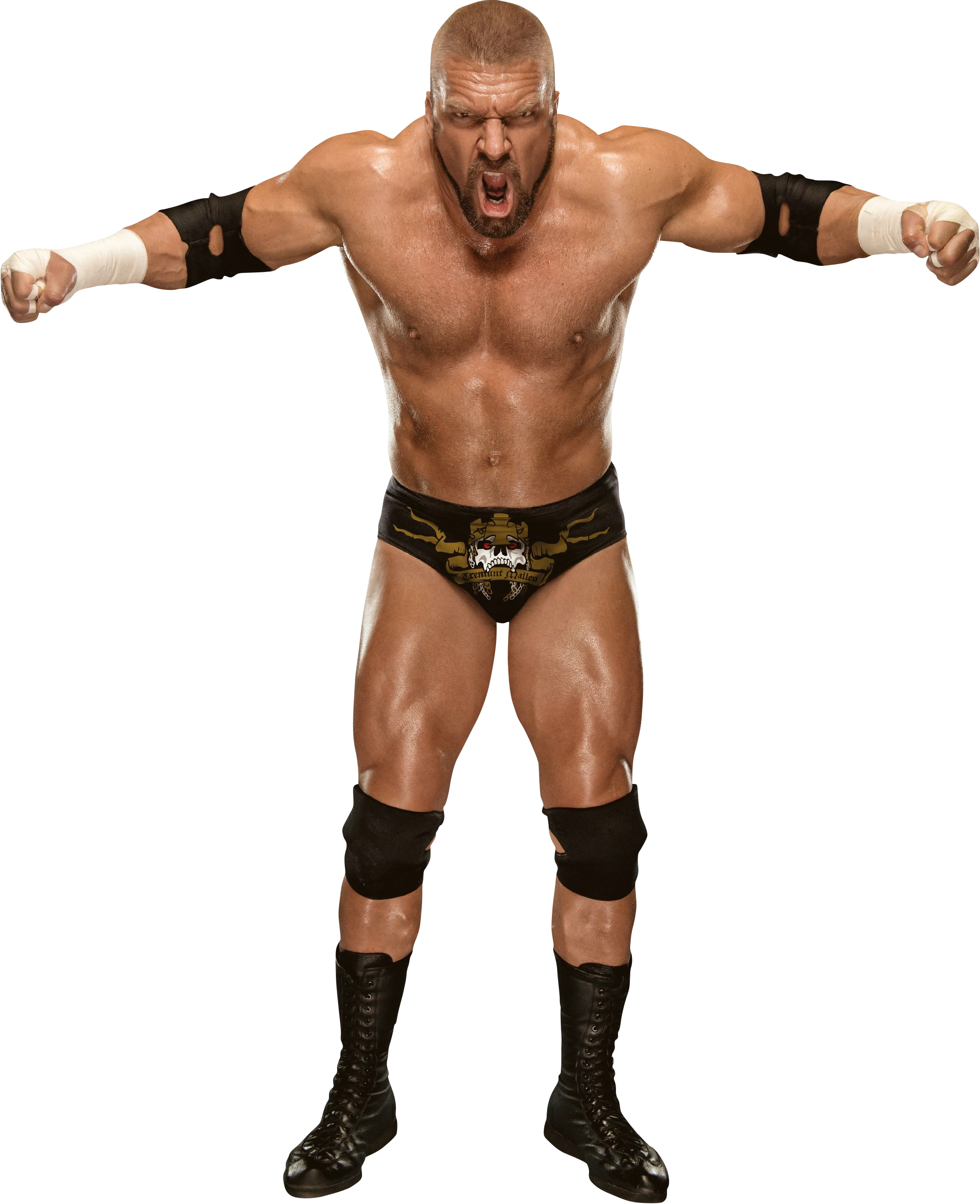 Image Triple H 20May2014.png Pro Wrestling Wiki Divas, Knockouts