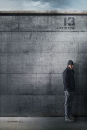 Hunger-games-mockingjay-haymitch
