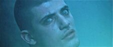 Viktor Krum7