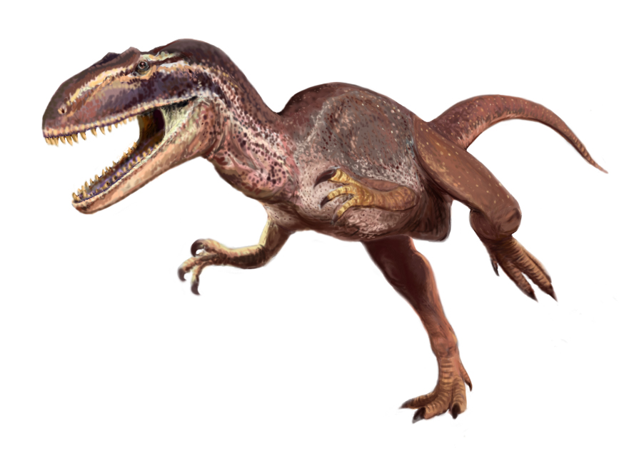 jwe metriacanthosaurus