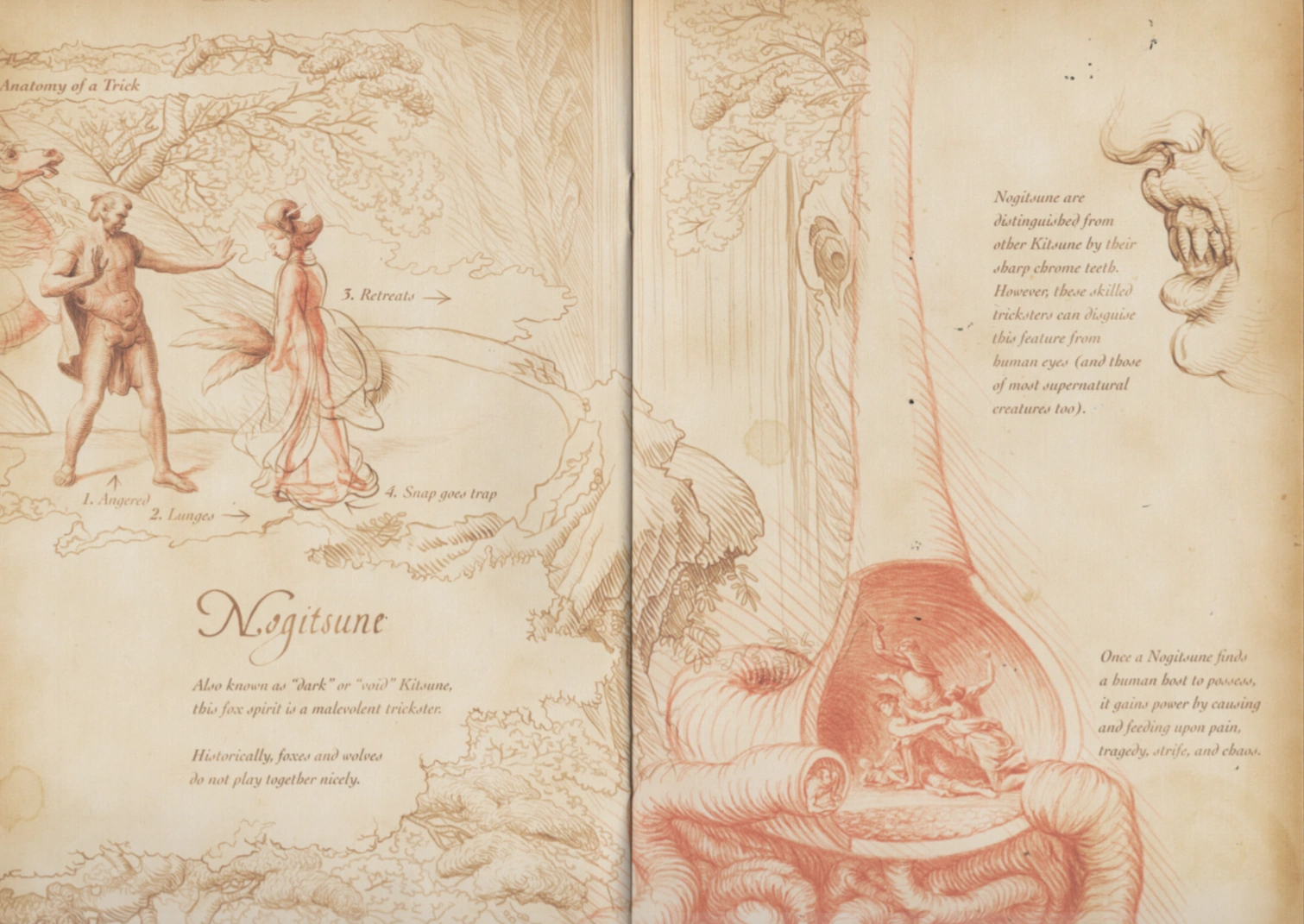 Kitsune Wiki Teen Wolf