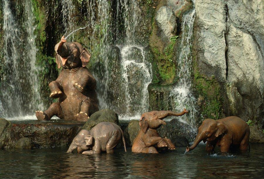 Jungle Cruise - Disney Wiki Jungle Cruise - Disney Wiki