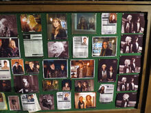 Companion wall 2