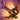 Shifting Sands.png