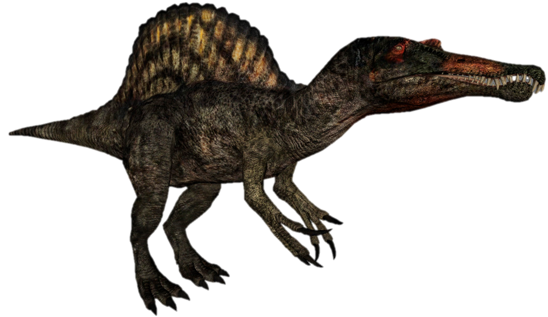 moroccan spinosaurus