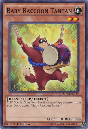 BabyRaccoonTantan-MP14-EN-C-1E
