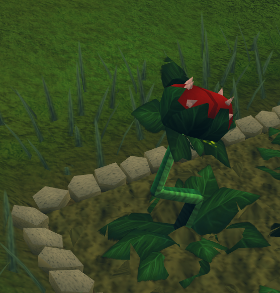 Runescape Flower Patch Seeds For Lawns