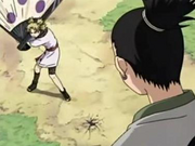 Shikamaru vs temari