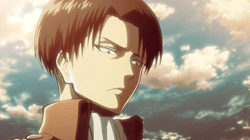 Levi_unamused.gif