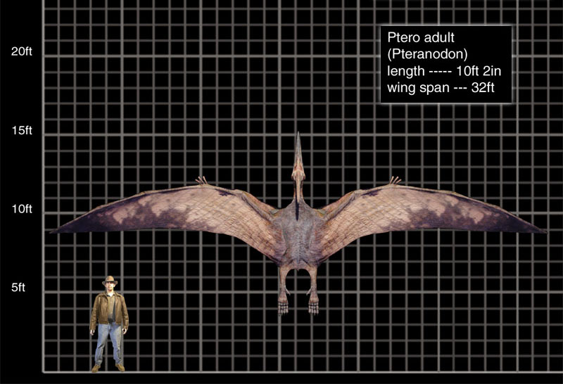 jurassic park pterodactyl