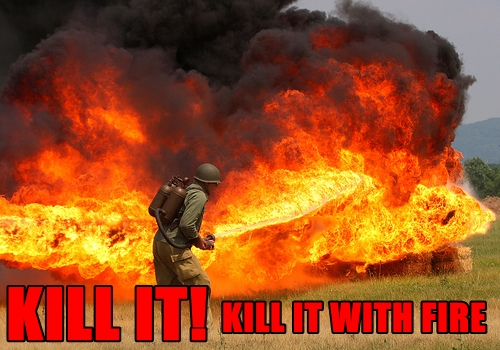 KILL-IT-WITH-FIRE-FUNNY-FORUM-PICS.jpg