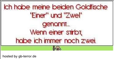 Bild - Gaestebuch sprueche bild witzig 04 www.gb-terror.de ...