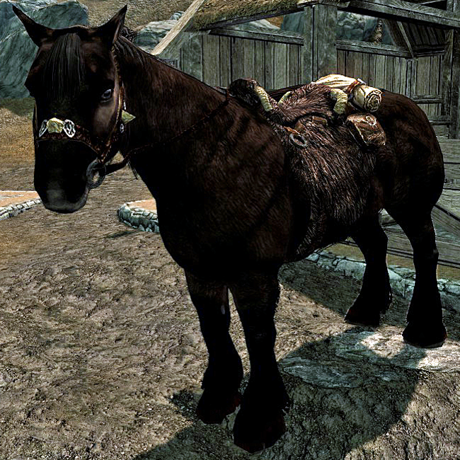 Horse_Skyrim