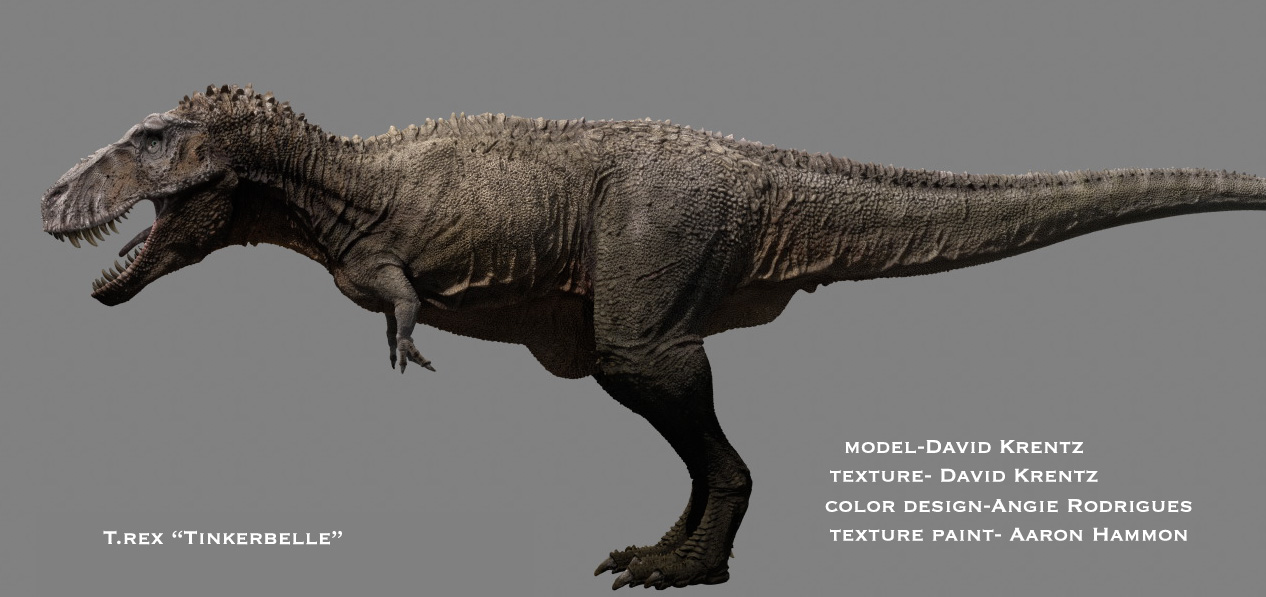 trex height