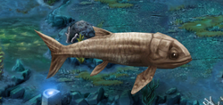 Leedsichthys level1