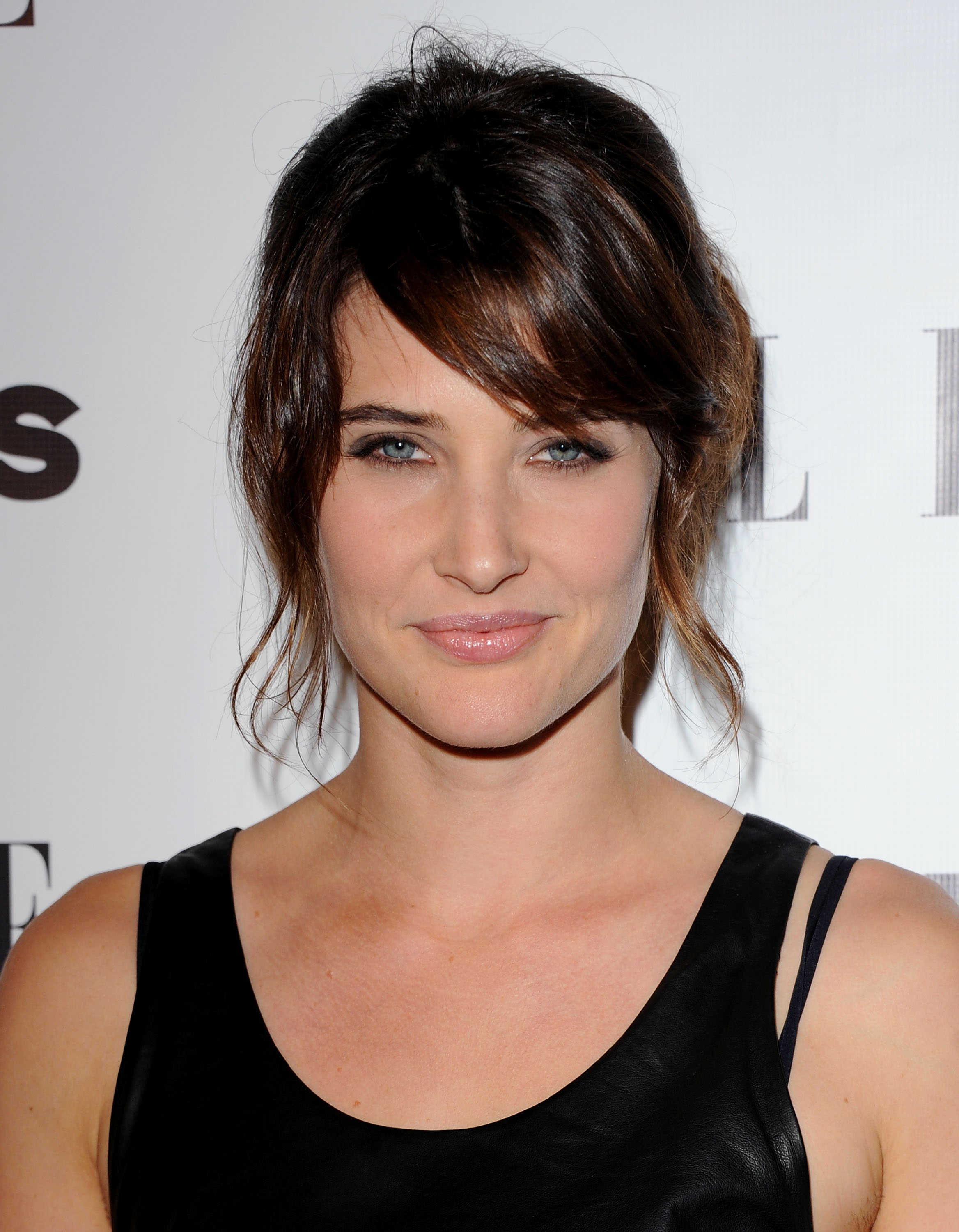 Filme Mit Cobie Smulders Filme Mit Cobie Smulders