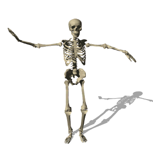 Dancing_skeleton.gif