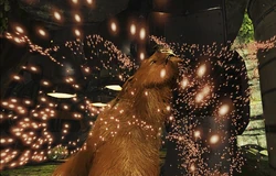 comment avoir un oeuf de kubrow