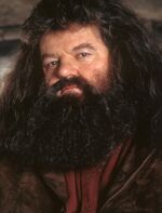 7hagrid