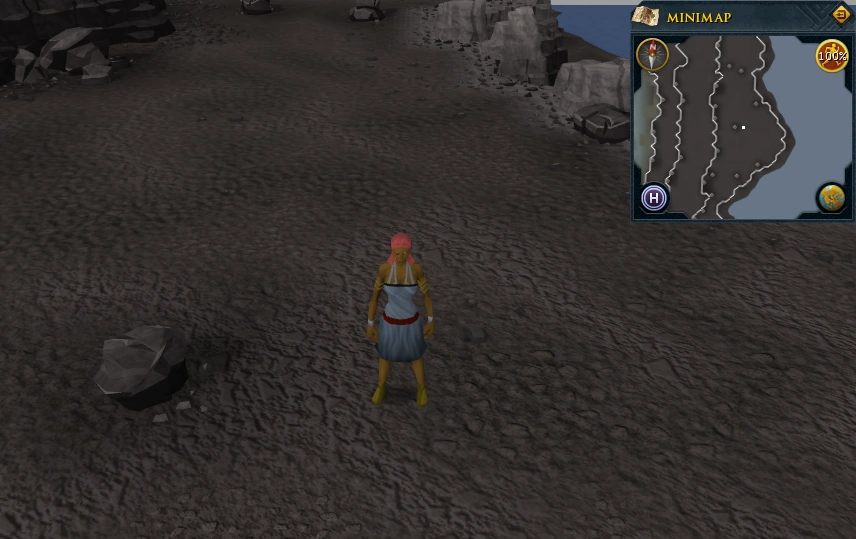 Treasure The RuneScape Wiki