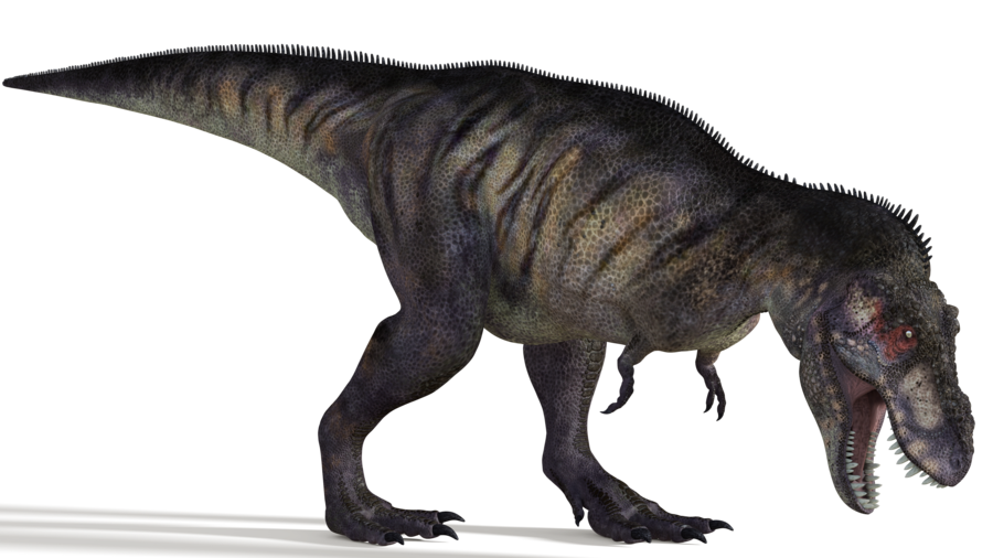 gambar tyrannosaurus