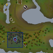 Ape Atoll Dungeon Location