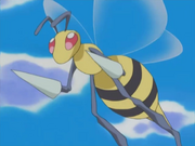 Casey Beedrill