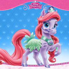 http://img2.wikia.nocookie.net/__cb20141224184211/disneyprincesas/pt-br/images/thumb/7/71/Palace_Pets_-_Seashell.png/240px-Palace_Pets_-_Seashell.png