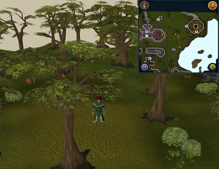 Treasure The RuneScape Wiki