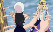 Robin detiene a Hakuba