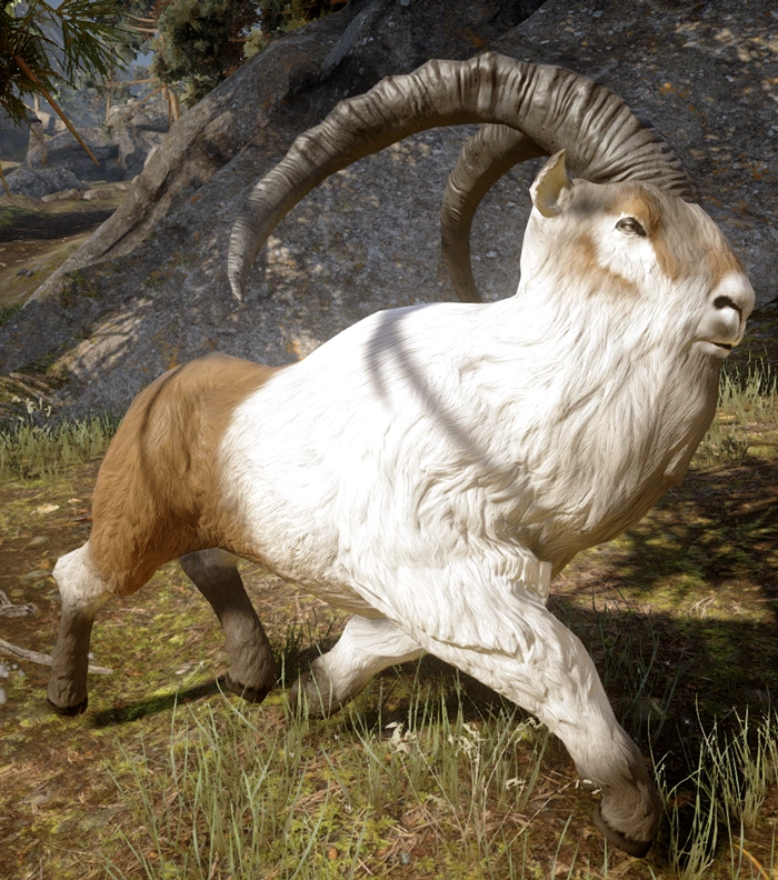 Ram (creature) Dragon Age Wiki
